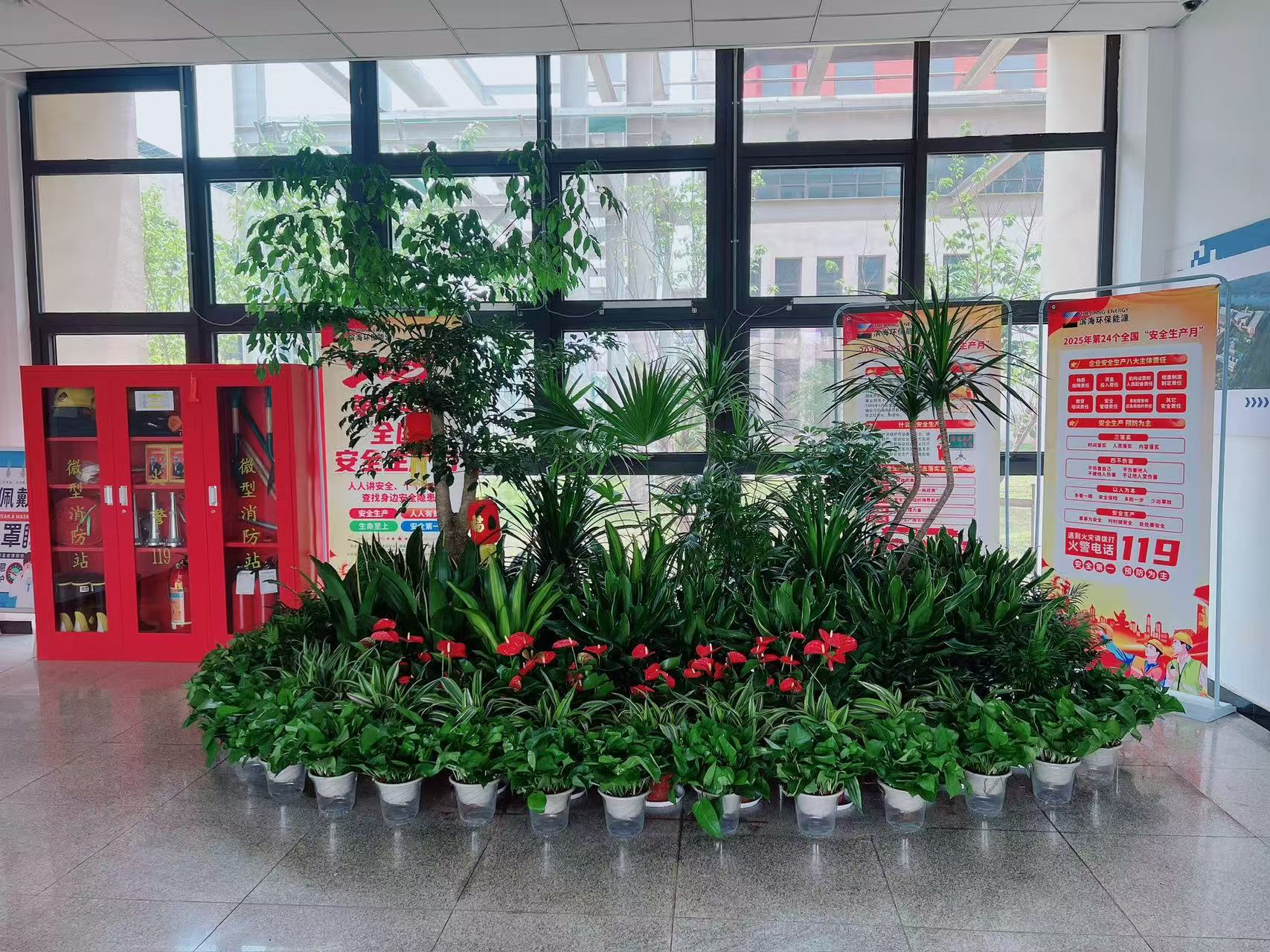 镇海绿植租摆哪家好